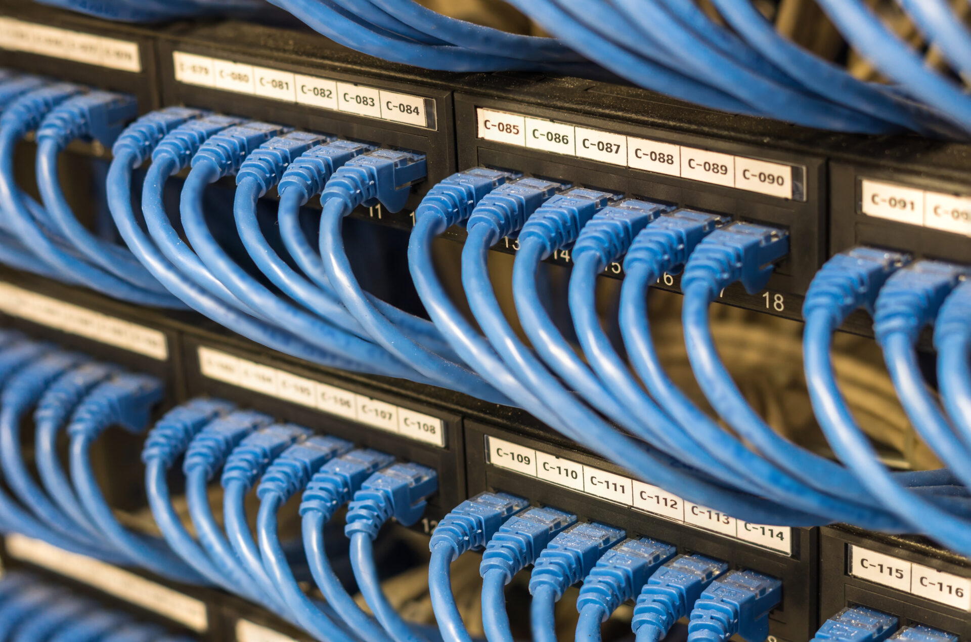 rows of network cable connected to router and switch hub in server room